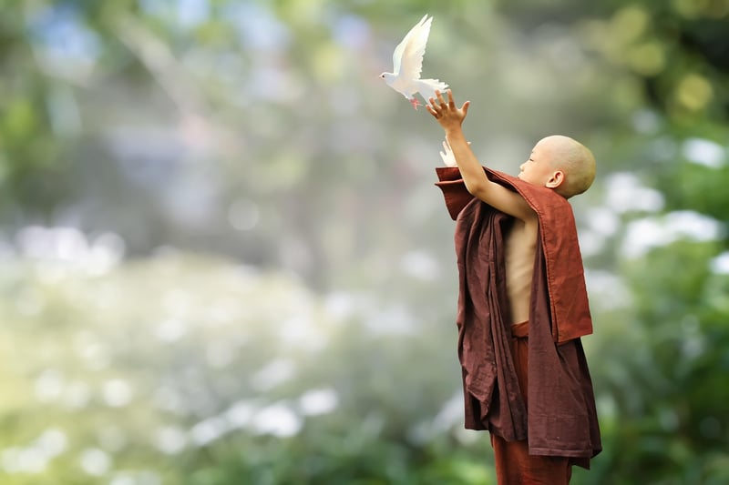 Loving kindness