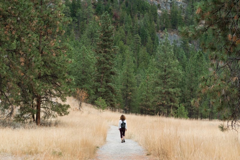 Mountain Hike